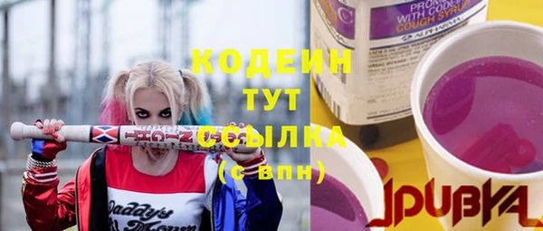 стаф Медногорск