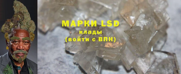 ECSTASY Богданович