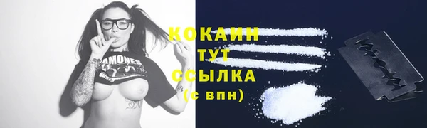 шишки Мегион