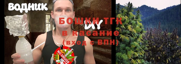 индика Михайловка