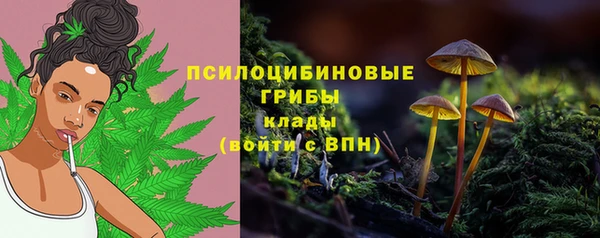 стаф Медногорск