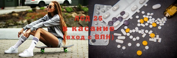 шишки Мегион