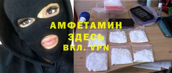 шишки Мегион