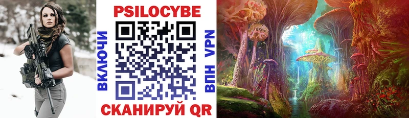 что такое   Нюрба  Псилоцибиновые грибы Psilocybine cubensis 