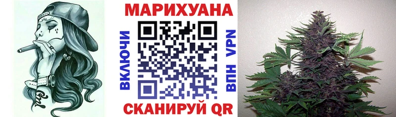 Канабис гибрид  Нюрба 